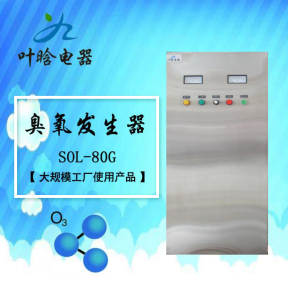 臭氧机-大规模工厂使用产品 臭氧发送器 S0L-80g